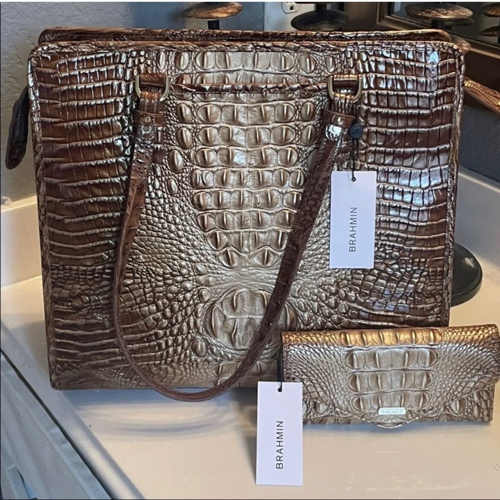 Teok Ombré Melbourne Brahmin Totebag and Matching Wallet